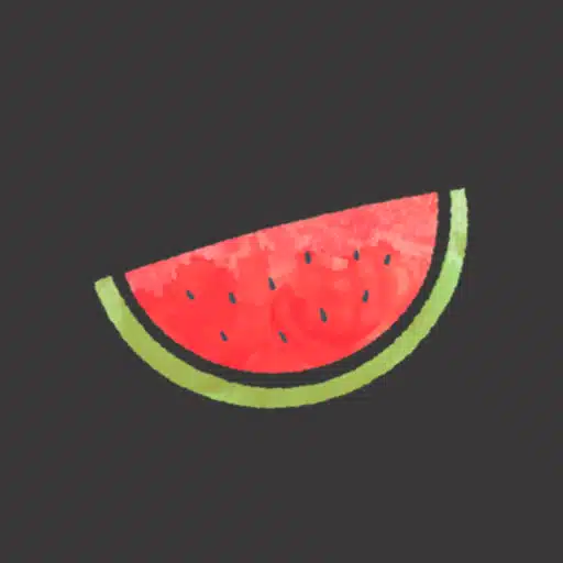Melon VPN (Premium)